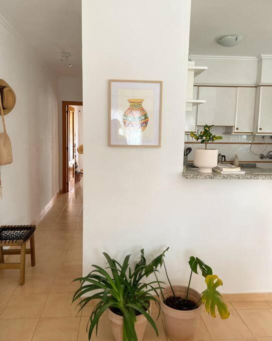 Apartamento Mediterraneo Entre Vinedos Jesus Pobre ภายนอก รูปภาพ